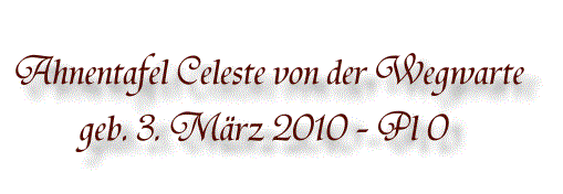 Ahnentafel Celeste02