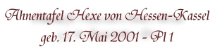 Cairn Terrier Zucht von Abendland - Cairnterrier Z�chter in Rheinland-Pfalz