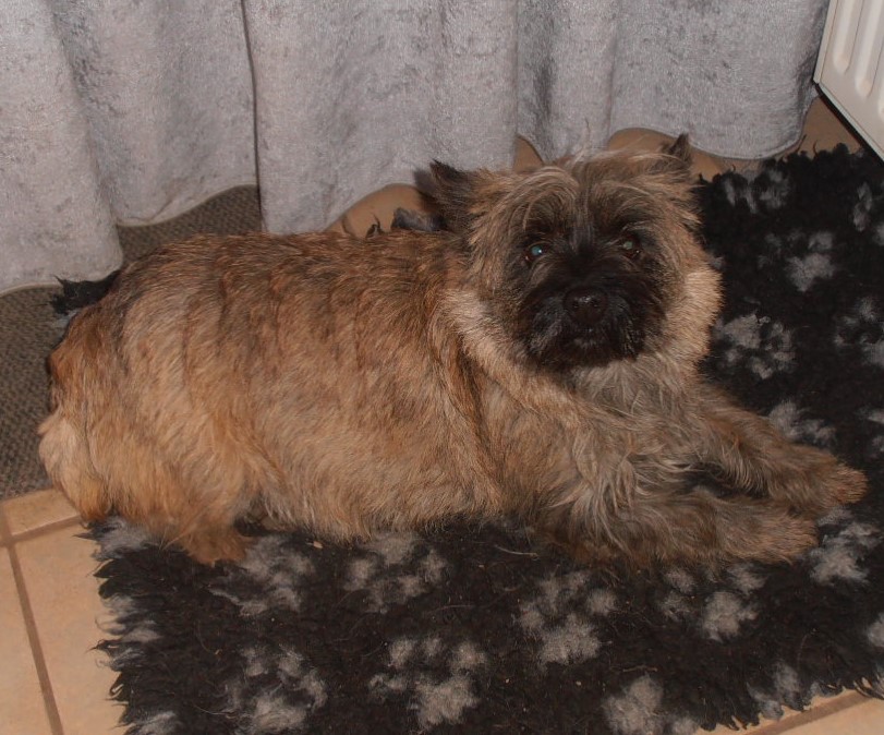 Valeska Januar 2024 - P1160003