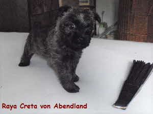 Raya Creta von Abendland