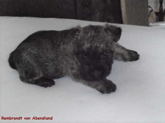 Rembrandt von Abendland 