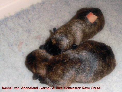 li Nr. 2 - re Nr. 4 P5070019