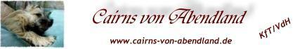 Cairn Terrier von Abendland