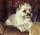 Alina von Abendland geb. 04.03.2003