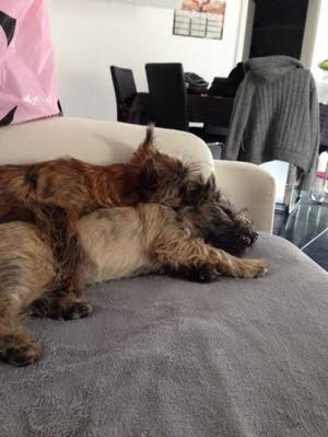 Momo & Merlin von Abendland