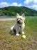 Elia 27052009233