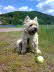 Elia 27052009236