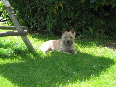 Hermine 2007-005