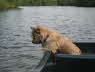 Hermine 2007-038