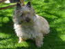 Hermine P1100716