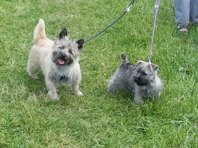 Jana von Abendlandgeb.11.01.2010