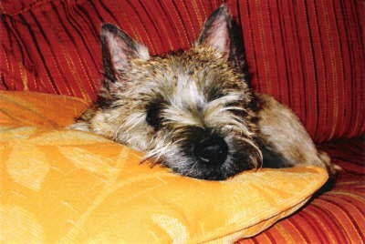 db_Celeste Hermine 2005-1