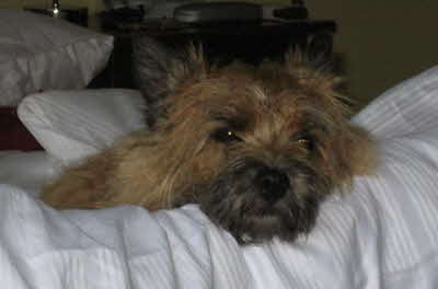 Jupiter Janusz von Abendland