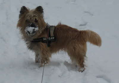 Jupiter Janusz von Abendland